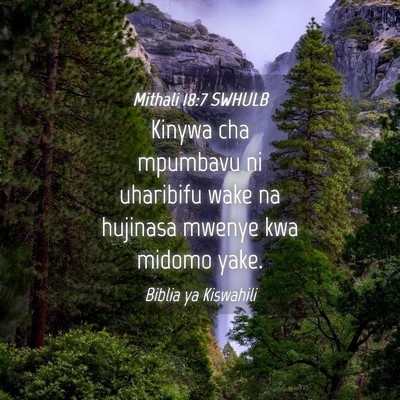 Picture 04 - Mithali 18:7 SWHULB - Kinywa cha mpumbavu ni uharibifu wake na hujinasa - Bible Verse Picture