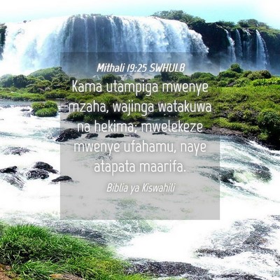 Picture 04 - Mithali 19:25 SWHULB - Kama utampiga mwenye mzaha, wajinga watakuwa na - Bible Verse Picture