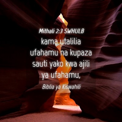 Picture 04 - Mithali 2:3 SWHULB - kama utalilia ufahamu na kupaza sauti yako kwa - Bible Verse Picture