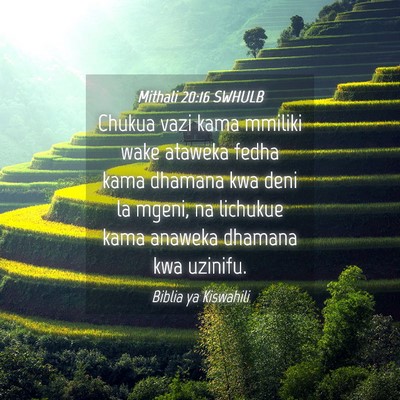 Picture 04 - Mithali 20:16 SWHULB - Chukua vazi kama mmiliki wake ataweka fedha kama - Bible Verse Picture