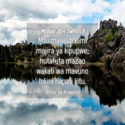 Picture 04 - Mithali 20:4 SWHULB - Mtu mvivu halimi majira ya kipupwe; hutafuta - Bible Verse Picture