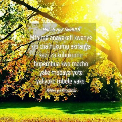 Picture 04 - Mithali 20:8 SWHULB - Mfalme anayeketi kwenye kiti cha hukumu akifanya - Bible Verse Picture