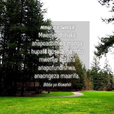 Picture 04 - Mithali 21:11 SWHULB - Mwenye dhihaka anapoadhibiwa mjinga hupata - Bible Verse Picture