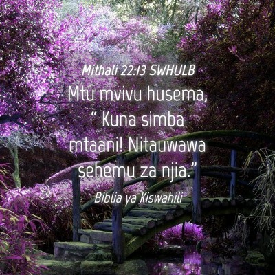 Picture 04 - Mithali 22:13 SWHULB - Mtu mvivu husema, “ Kuna simba mtaani! - Bible Verse Picture