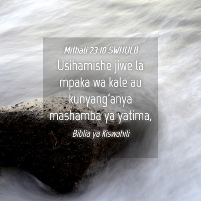 Picture 04 - Mithali 23:10 SWHULB - Usihamishe jiwe la mpaka wa kale au kunyang'anya - Bible Verse Picture