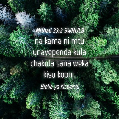 Picture 04 - Mithali 23:2 SWHULB - na kama ni mtu unayependa kula chakula sana weka - Bible Verse Picture