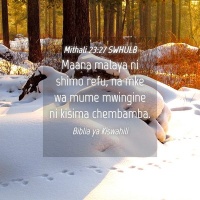 Picture 04 - Mithali 23:27 SWHULB - Maana malaya ni shimo refu, na mke wa mume - Bible Verse Picture