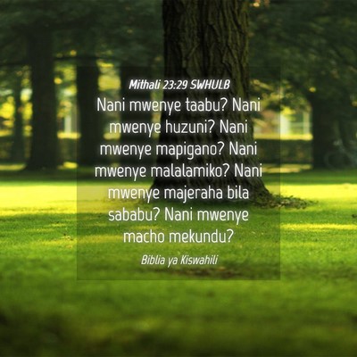 Picture 04 - Mithali 23:29 SWHULB - Nani mwenye taabu? Nani mwenye huzuni? Nani - Bible Verse Picture