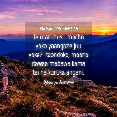 Picture 04 - Mithali 23:5 SWHULB - Je utaruhusu macho yako yaangaze juu yake? - Bible Verse Picture