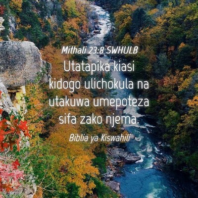 Picture 04 - Mithali 23:8 SWHULB - Utatapika kiasi kidogo ulichokula na utakuwa - Bible Verse Picture