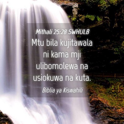 Picture 04 - Mithali 25:28 SWHULB - Mtu bila kujitawala ni kama mji ulibomolewa na - Bible Verse Picture