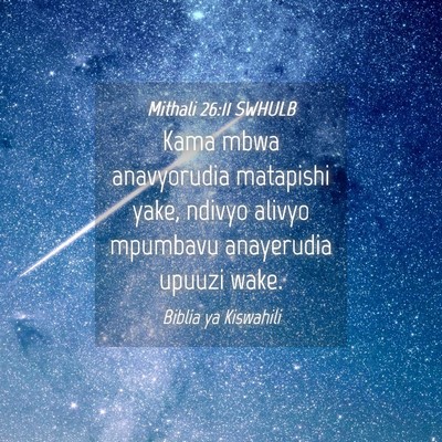 Picture 04 - Mithali 26:11 SWHULB - Kama mbwa anavyorudia matapishi yake, ndivyo - Bible Verse Picture
