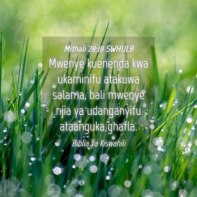 Picture 04 - Mithali 28:18 SWHULB - Mwenye kuenenda kwa ukaminifu atakuwa salama, - Bible Verse Picture