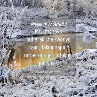 Picture 04 - Mithali 28:22 SWHULB - Mtu mchoyo huharakisha kwenye utajiri, lakini - Bible Verse Picture