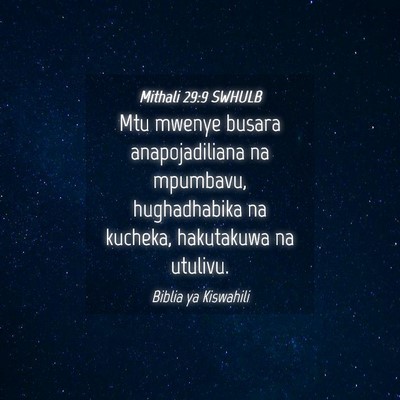 Picture 04 - Mithali 29:9 SWHULB - Mtu mwenye busara anapojadiliana na mpumbavu, - Bible Verse Picture