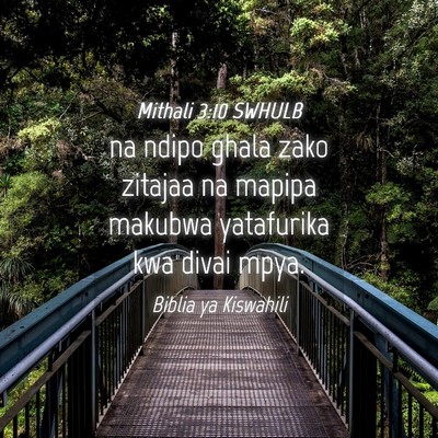Picture 04 - Mithali 3:10 SWHULB - na ndipo ghala zako zitajaa na mapipa makubwa - Bible Verse Picture