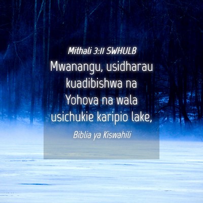Picture 04 - Mithali 3:11 SWHULB - Mwanangu, usidharau kuadibishwa na Yohova na wala - Bible Verse Picture