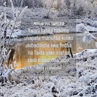 Picture 04 - Mithali 3:14 SWHULB - Kwani katika hekima unapata manufaa kuliko - Bible Verse Picture