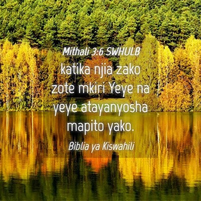 Picture 04 - Mithali 3:6 SWHULB - katika njia zako zote mkiri Yeye na yeye - Bible Verse Picture