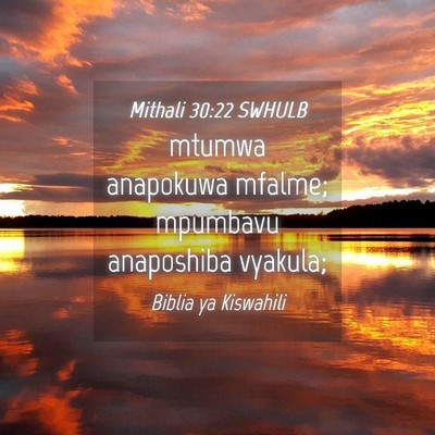Picture 04 - Mithali 30:22 SWHULB - mtumwa anapokuwa mfalme; mpumbavu anaposhiba - Bible Verse Picture