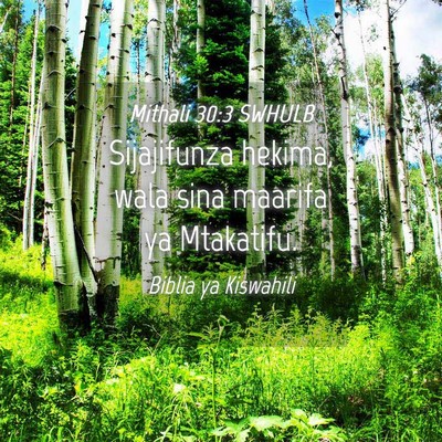 Picture 04 - Mithali 30:3 SWHULB - Sijajifunza hekima, wala sina maarifa ya - Bible Verse Picture