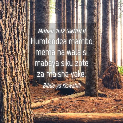 Picture 04 - Mithali 31:12 SWHULB - Humtendea mambo mema na wala si mabaya siku zote - Bible Verse Picture