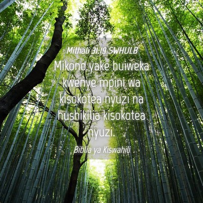 Picture 04 - Mithali 31:19 SWHULB - Mikono yake huiweka kwenye mpini wa kisokotea - Bible Verse Picture