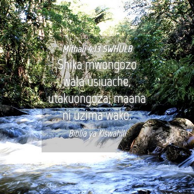 Picture 04 - Mithali 4:13 SWHULB - Shika mwongozo wala usiuache, utakuongoza, maana - Bible Verse Picture