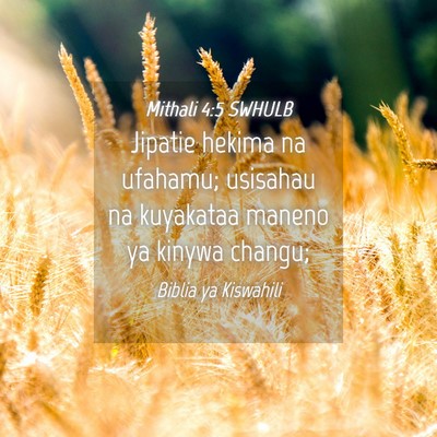 Picture 04 - Mithali 4:5 SWHULB - Jipatie hekima na ufahamu; usisahau na kuyakataa - Bible Verse Picture