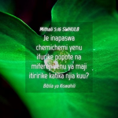 Picture 04 - Mithali 5:16 SWHULB - Je inapaswa chemichemi yenu ifurike popote na - Bible Verse Picture