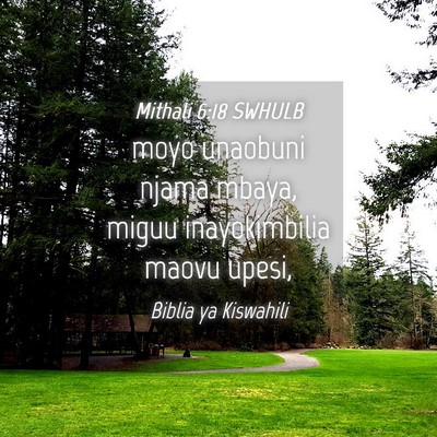 Picture 04 - Mithali 6:18 SWHULB - moyo unaobuni njama mbaya, miguu inayokimbilia - Bible Verse Picture