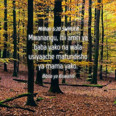 Picture 04 - Mithali 6:20 SWHULB - Mwanangu, itii amri ya baba yako na wala - Bible Verse Picture