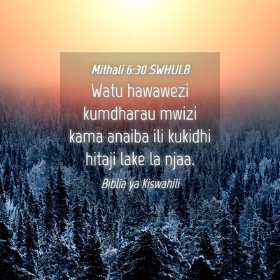 Picture 04 - Mithali 6:30 SWHULB - Watu hawawezi kumdharau mwizi kama anaiba ili - Bible Verse Picture