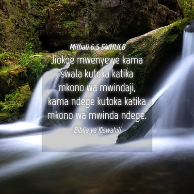 Picture 04 - Mithali 6:5 SWHULB - Jiokoe mwenyewe kama swala kutoka katika mkono wa - Bible Verse Picture