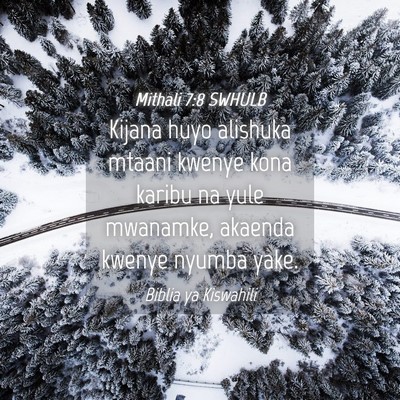 Picture 04 - Mithali 7:8 SWHULB - Kijana huyo alishuka mtaani kwenye kona karibu na - Bible Verse Picture
