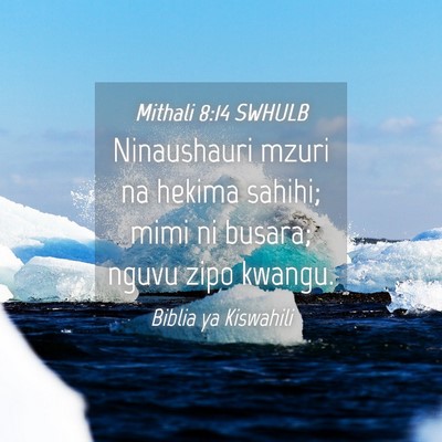 Picture 04 - Mithali 8:14 SWHULB - Ninaushauri mzuri na hekima sahihi; mimi ni - Bible Verse Picture
