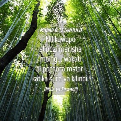 Picture 04 - Mithali 8:27 SWHULB - Nilikuwepo alipoziimarisha mbingu, wakati - Bible Verse Picture