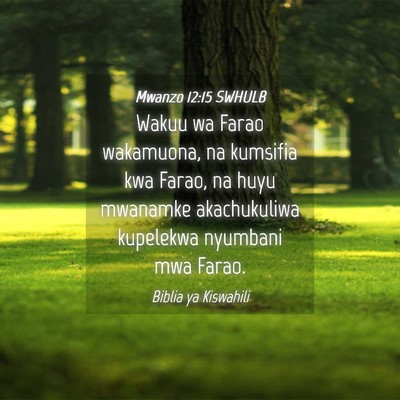 Picture 04 - Mwanzo 12:15 SWHULB - Wakuu wa Farao wakamuona, na kumsifia kwa Farao, - Bible Verse Picture