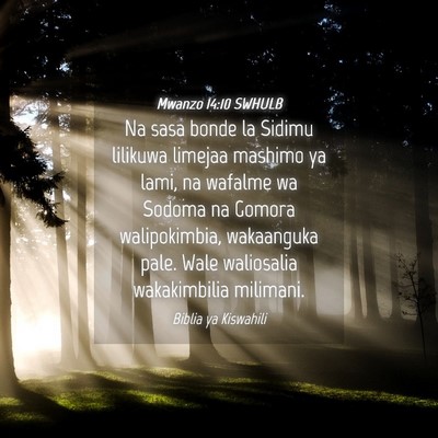 Picture 04 - Mwanzo 14:10 SWHULB - Na sasa bonde la Sidimu lilikuwa limejaa mashimo - Bible Verse Picture