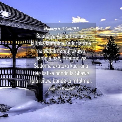 Picture 04 - Mwanzo 14:17 SWHULB - Baada ya Abram kurudi kutoka kumpiga Kadorlaoma - Bible Verse Picture