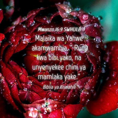 Picture 04 - Mwanzo 16:9 SWHULB - Malaika wa Yahwe akamwambia, “ Rudi kwa bibi - Bible Verse Picture
