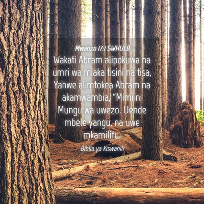 Picture 04 - Mwanzo 17:1 SWHULB - Wakati Abram alipokuwa na umri wa miaka tisini na - Bible Verse Picture