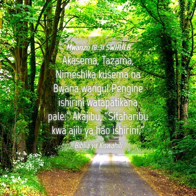 Picture 04 - Mwanzo 18:31 SWHULB - Akasema, Tazama, Nimeshika kusema na Bwana wangu! - Bible Verse Picture
