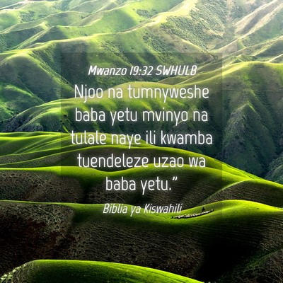 Picture 04 - Mwanzo 19:32 SWHULB - Njoo na tumnyweshe baba yetu mvinyo na tulale - Bible Verse Picture
