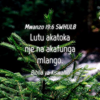 Picture 04 - Mwanzo 19:6 SWHULB - Lutu akatoka nje na akafunga - Bible Verse Picture