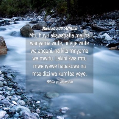 Picture 04 - Mwanzo 2:20 SWHULB - Mtu huyu akawapatia majina wanyama wote, ndege - Bible Verse Picture