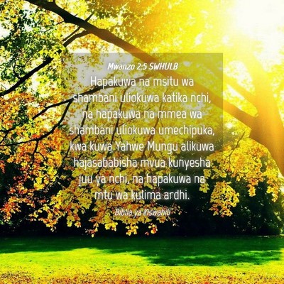 Picture 04 - Mwanzo 2:5 SWHULB - Hapakuwa na msitu wa shambani uliokuwa katika - Bible Verse Picture