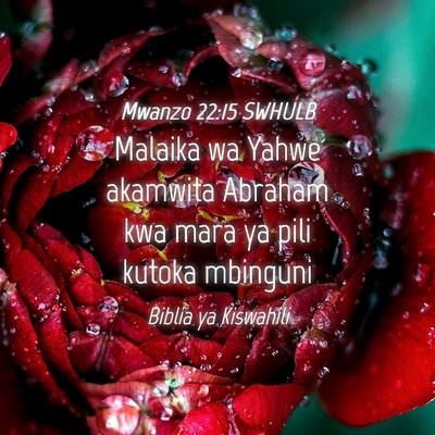 Picture 04 - Mwanzo 22:15 SWHULB - Malaika wa Yahwe akamwita Abraham kwa mara ya - Bible Verse Picture