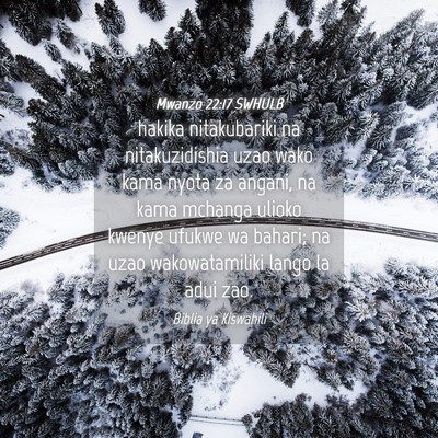 Picture 04 - Mwanzo 22:17 SWHULB - hakika nitakubariki na nitakuzidishia uzao wako - Bible Verse Picture