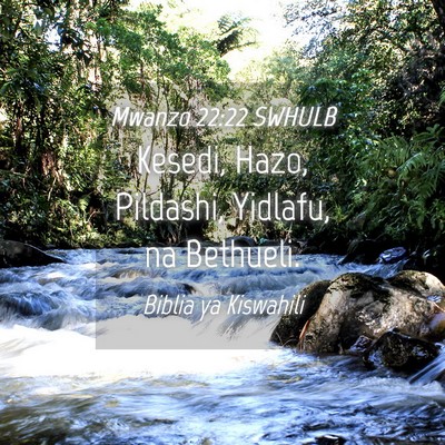 Picture 04 - Mwanzo 22:22 SWHULB - Kesedi, Hazo, Pildashi, Yidlafu, na - Bible Verse Picture